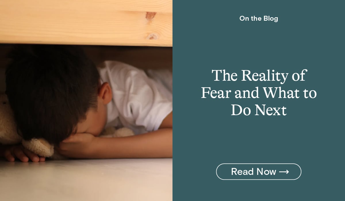 The Reality of Fear and What to Do Next